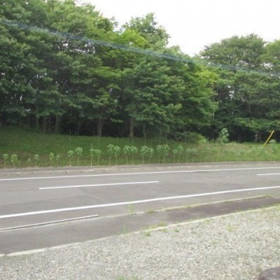 道路向かい