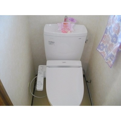 トイレごと新品です!