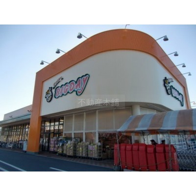 エブリィビッグデー有玉南店