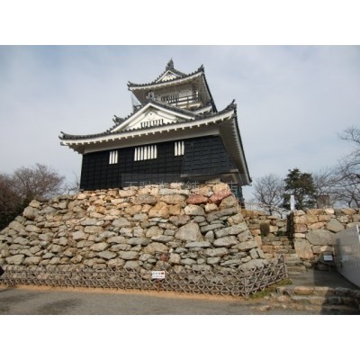 浜松城公園