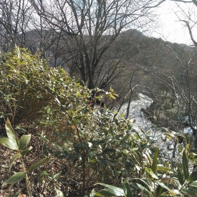 朝里川