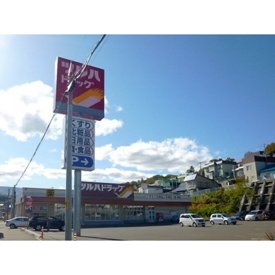 ツルハドラッグ小樽梅ヶ枝店まで165m