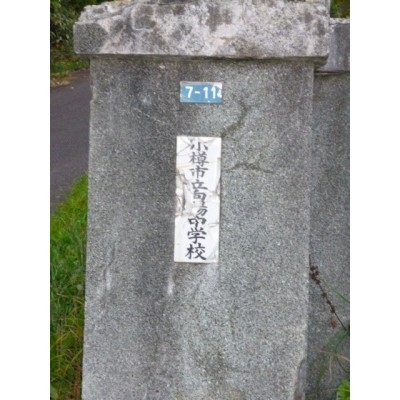 向陽中学校まで524m