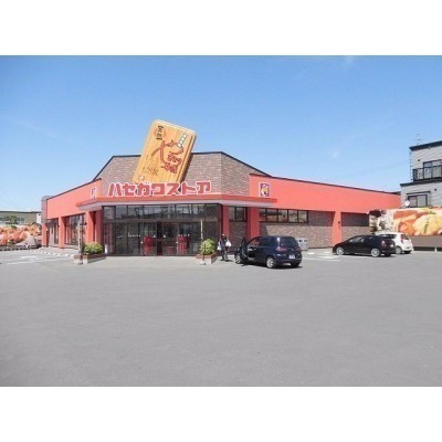 ハセガワストア中道店