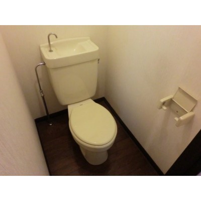 落ち着いたトイレです