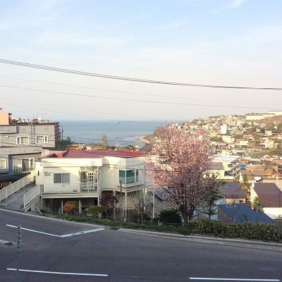 その他の画像1