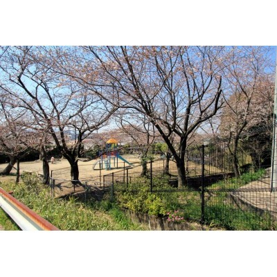 近隣の公園!桜が咲くのが待ち遠しい♪