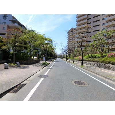 マンション前面道路!並木道♪