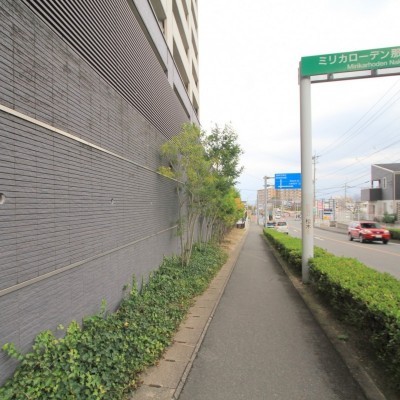 前面道路