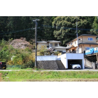 現地写真