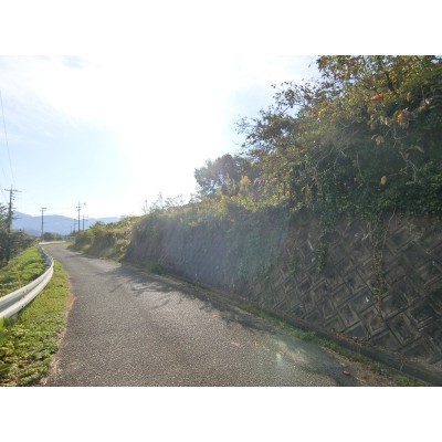 前面道路は約5m!