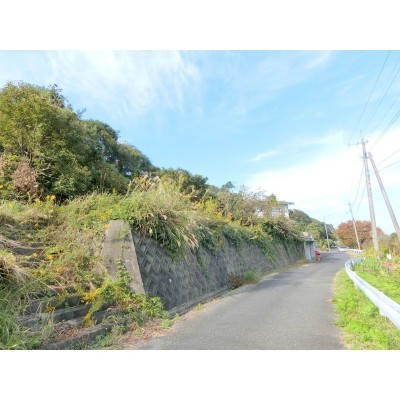 側溝がございます
