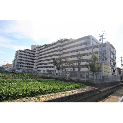 閑静な住宅街に佇む3LDK!