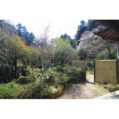 癒しの庭園♪(一部法面含む)