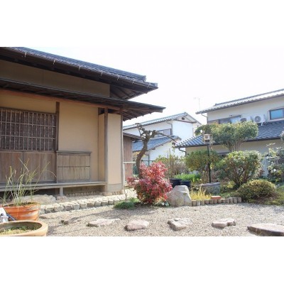 庭
