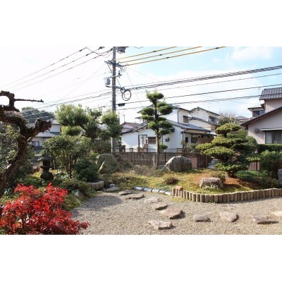 庭