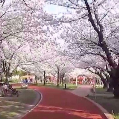 山王公園