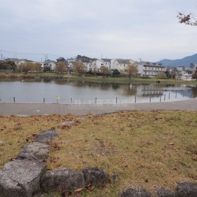 南側の公園