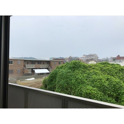 現地からの眺望