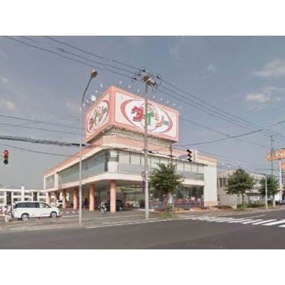ザ・ダイソー札幌白石本通店