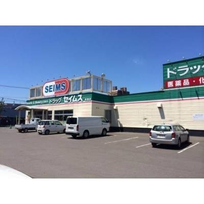 ドラッグセイムス環状通美園店