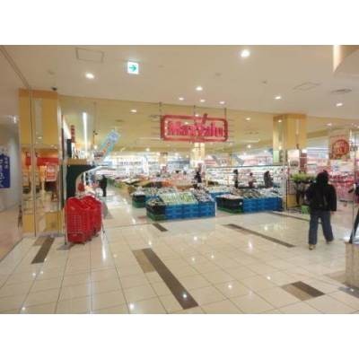 Maxvalu東札幌店
