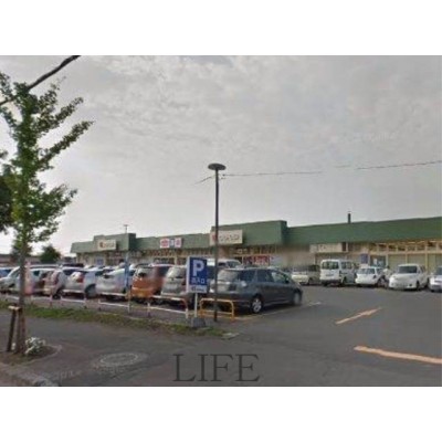 サンキかわしも店