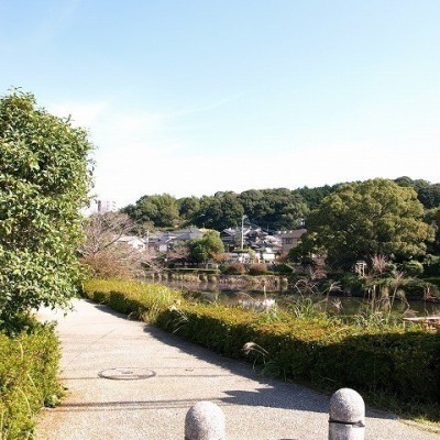 隣には緑豊かな公園