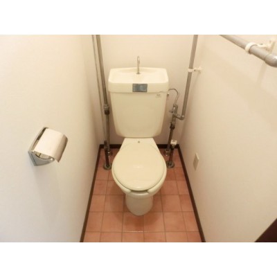 落ち着いた色調のトイレです