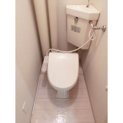 落ち着いた色調のトイレです