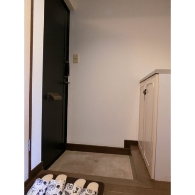 落ち着いた玄関です