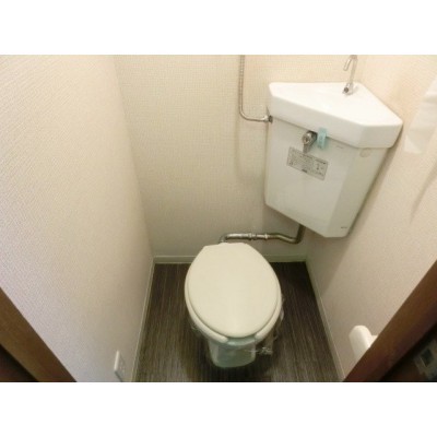落ち着いた色調のトイレです