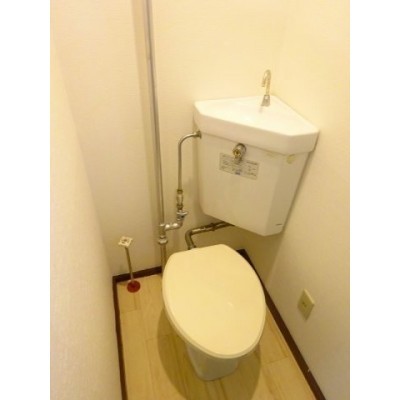 落ち着いた色調のトイレです