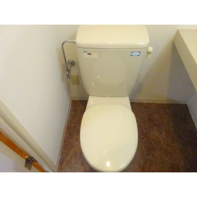落ち着いたトイレです