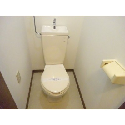落ち着いた色調のトイレです
