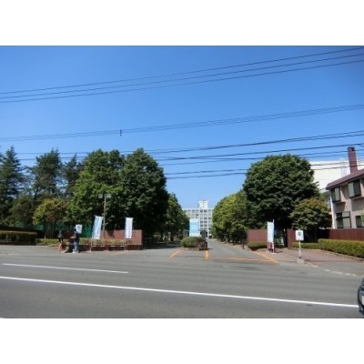 Maxvalu(マックスバリュ) 平岸店まで1282m