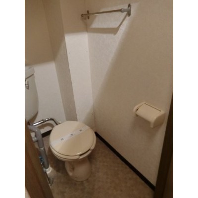 落ち着いた色調のトイレです
