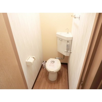 落ち着いた色調のトイレです