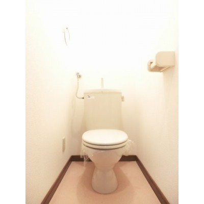 落ち着いた色調のトイレです