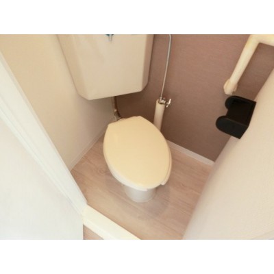 清潔感のあるトイレです