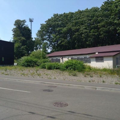 道路右側から撮影