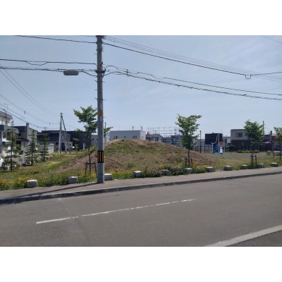道路対面側の公園