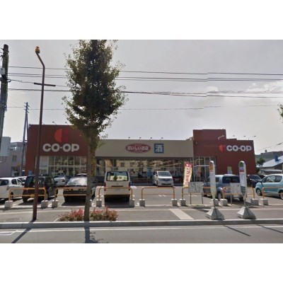 コープさっぽろきたごう店 約865m(徒歩11分)