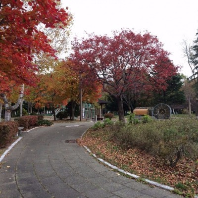 自然豊かな公園