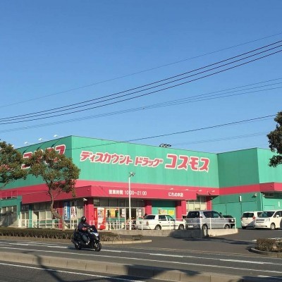 コスモス