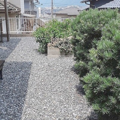 裏庭
