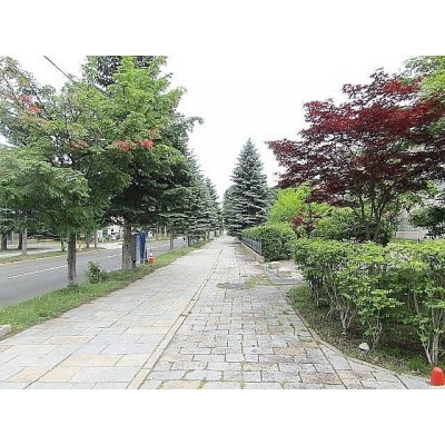 その他現地