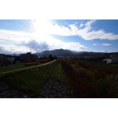 河川敷り景色です。