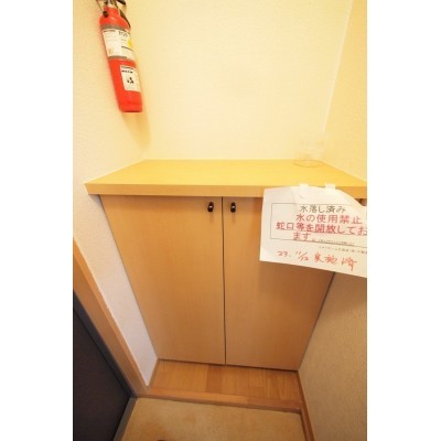 玄関、シューズボックスです。