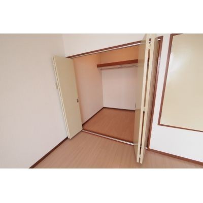 洋室と収納です。(ウォークインクロゼットです。)
